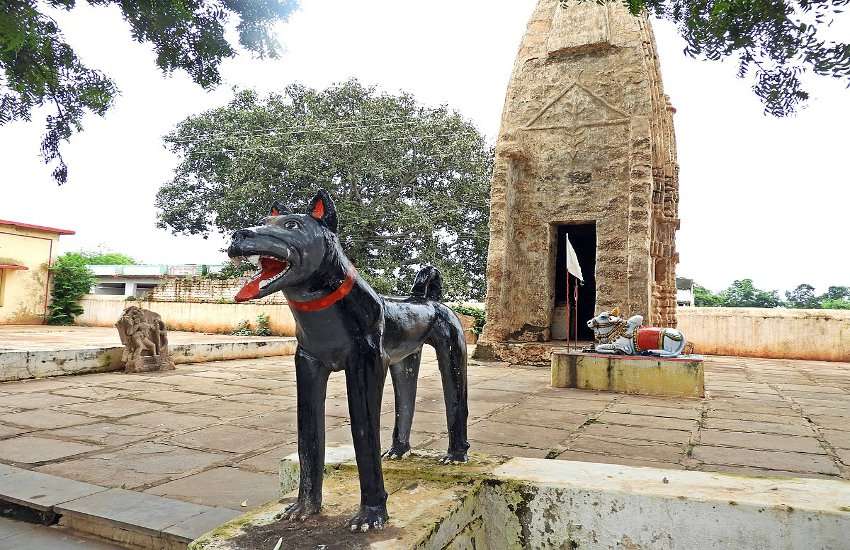 कुकुर देव मंदिर : कहानी एक ऐसे अनोखे मंदिर की जहाँ की जाती है कुत्ते की पूजा  | Kukur Dev Temple: Story of a unique temple where dog is worshiped |  Patrika News