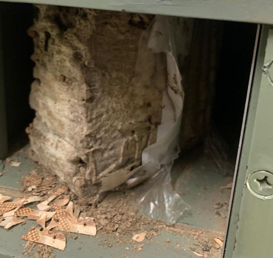 termites-ate-lakhs-of-rupees-in-the-locker