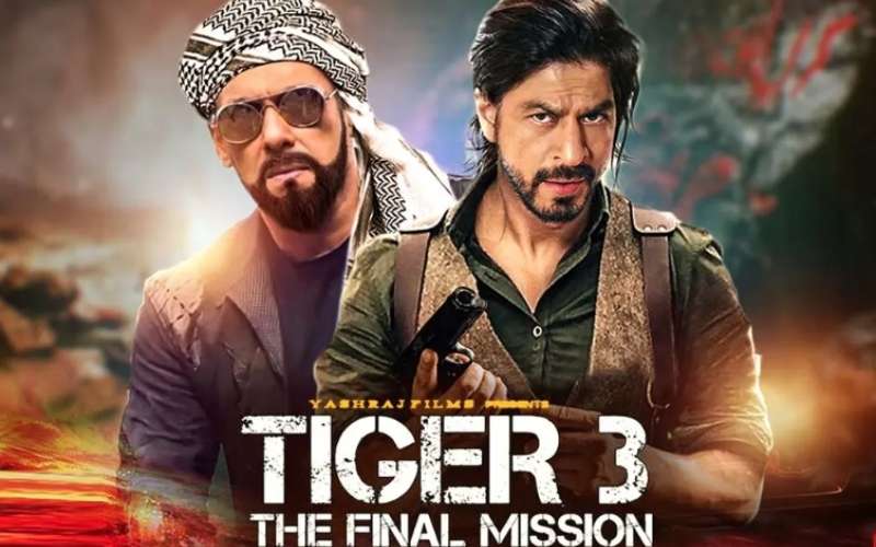 tiger_3_srk_salman.jpg