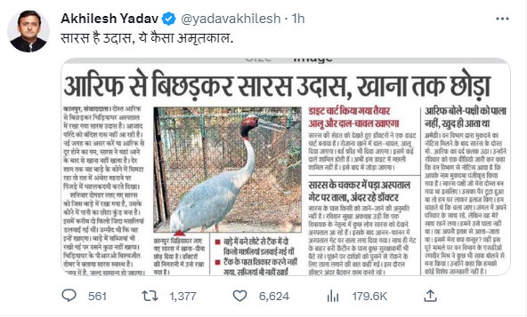 tweet.png