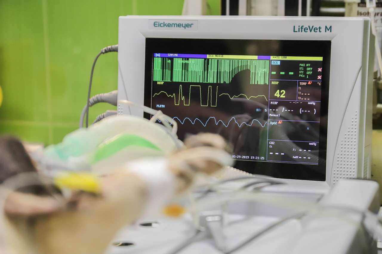 heartmonitring_1.jpg