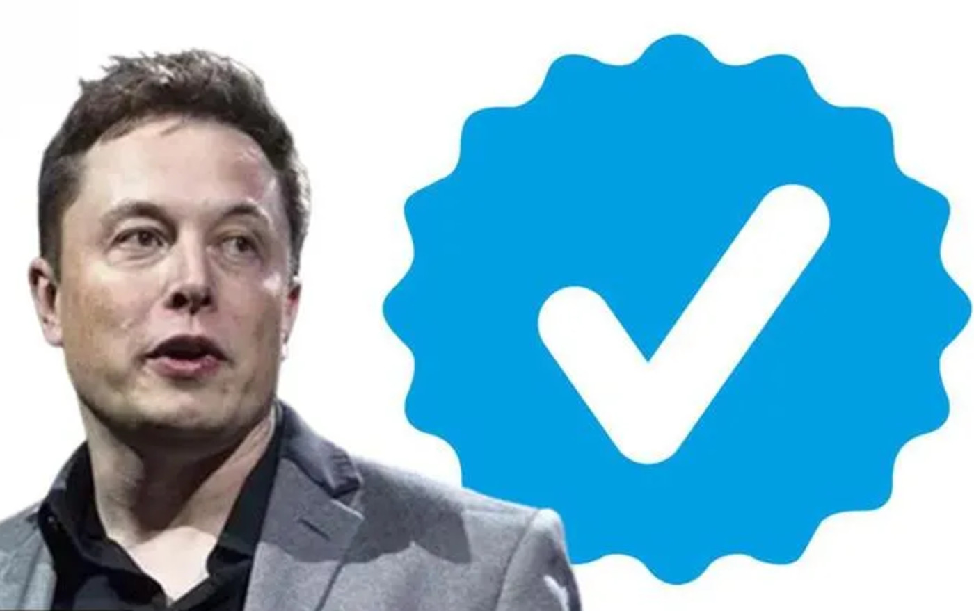 Elon Musk Personally Paying For Three Twitter Users Blue Checkmark Twitter ब्लू सब्सक्रिप्शन 3003