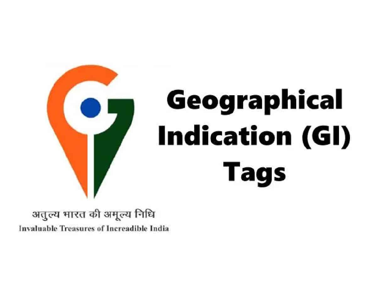 udaipur-has-no-gi-tag-products-geographical-indication-udaipur