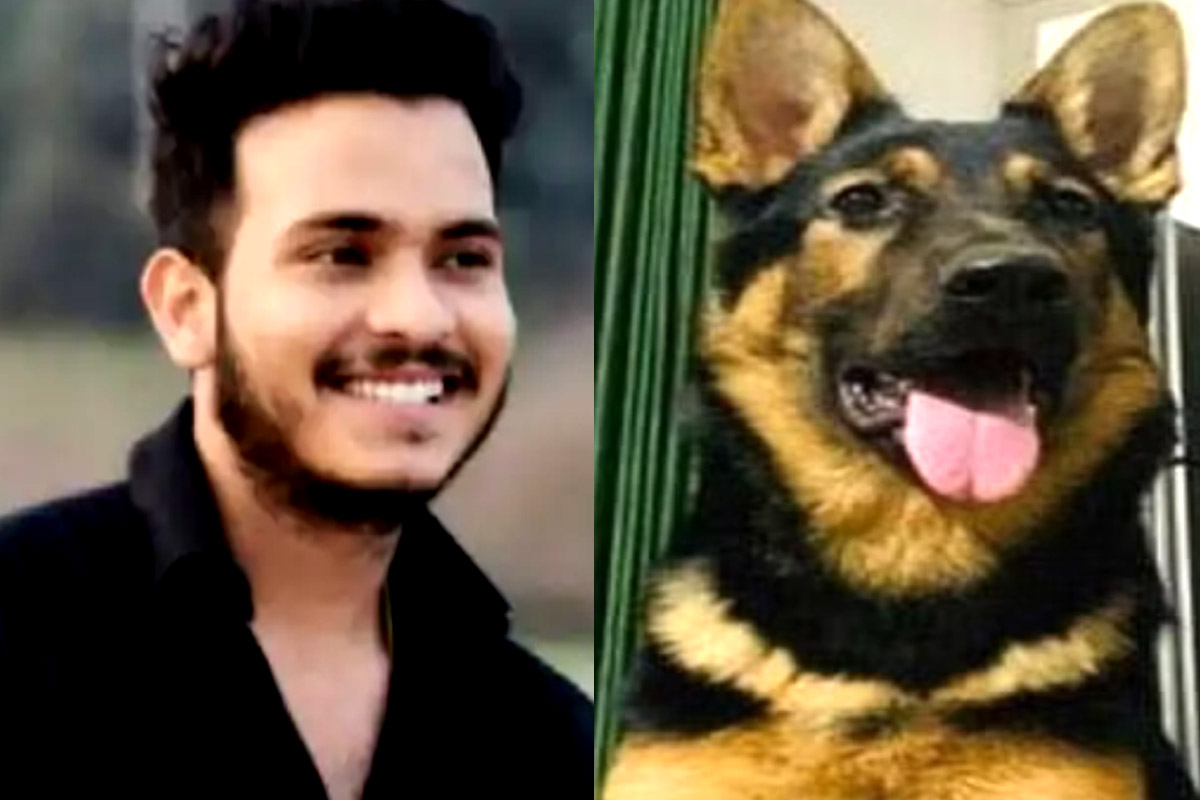 UPSC की तैयारी कर रहे युवक ने लगा ली फांसी, पालतू कुत्ते ने डेड बॉडी उतारने का खूब किया प्रयास | Sambhav commits suicide pet dog death in Jhansi | Patrika News