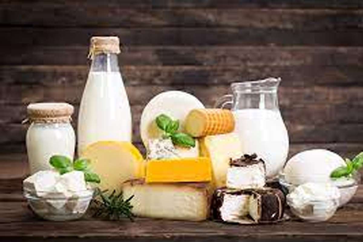 foods-to-increase-eyesight_1.jpg
