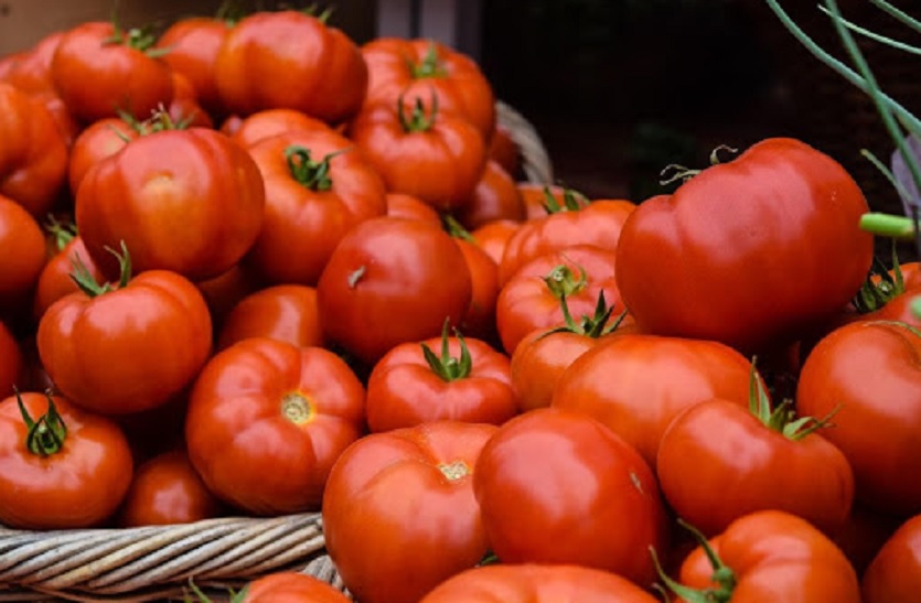 Tomato Price: टमाटर 120 रुपए किलो, दस दिन में चार गुना महंगा...अभी और बढ़ेंगे दाम