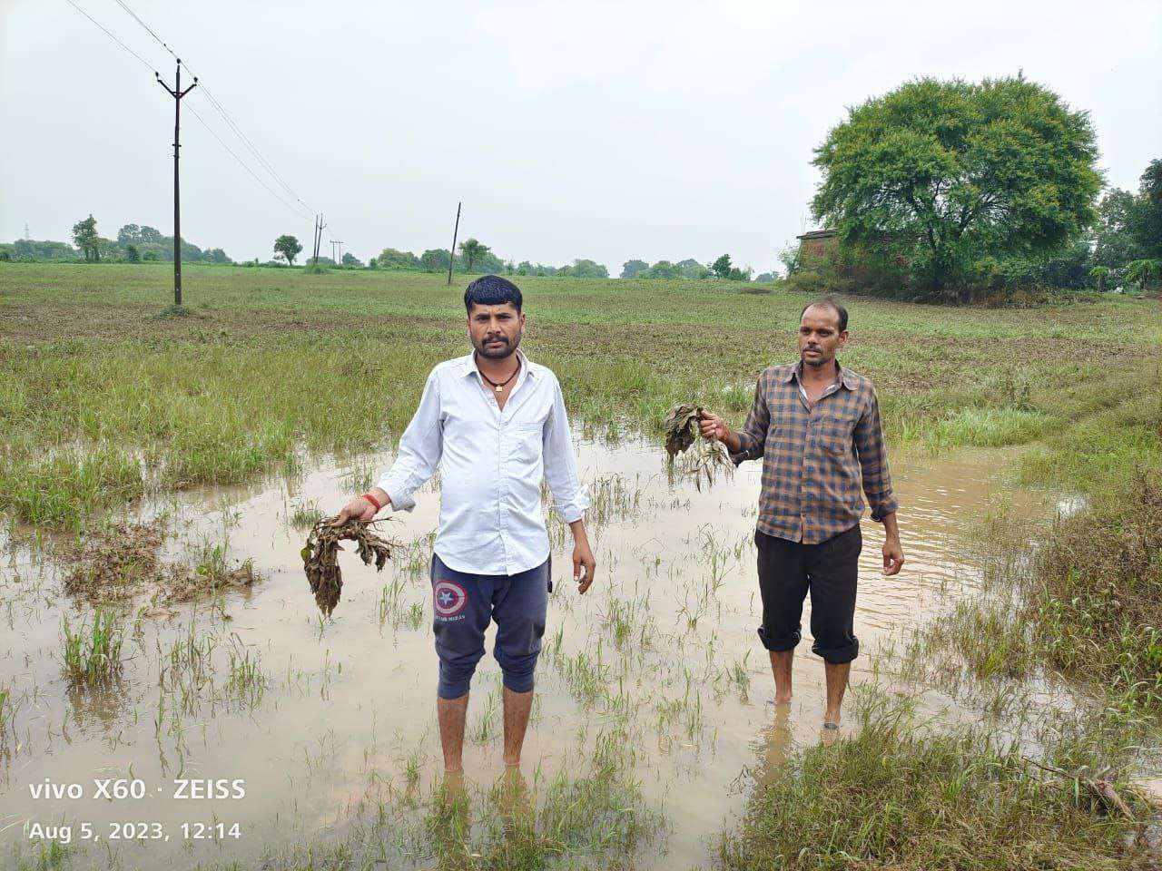 बारिश के कोहराम से कई गांव बने टापू, बचाव दलों ने लोगों तक पहुंचाई मदद, अब राहत