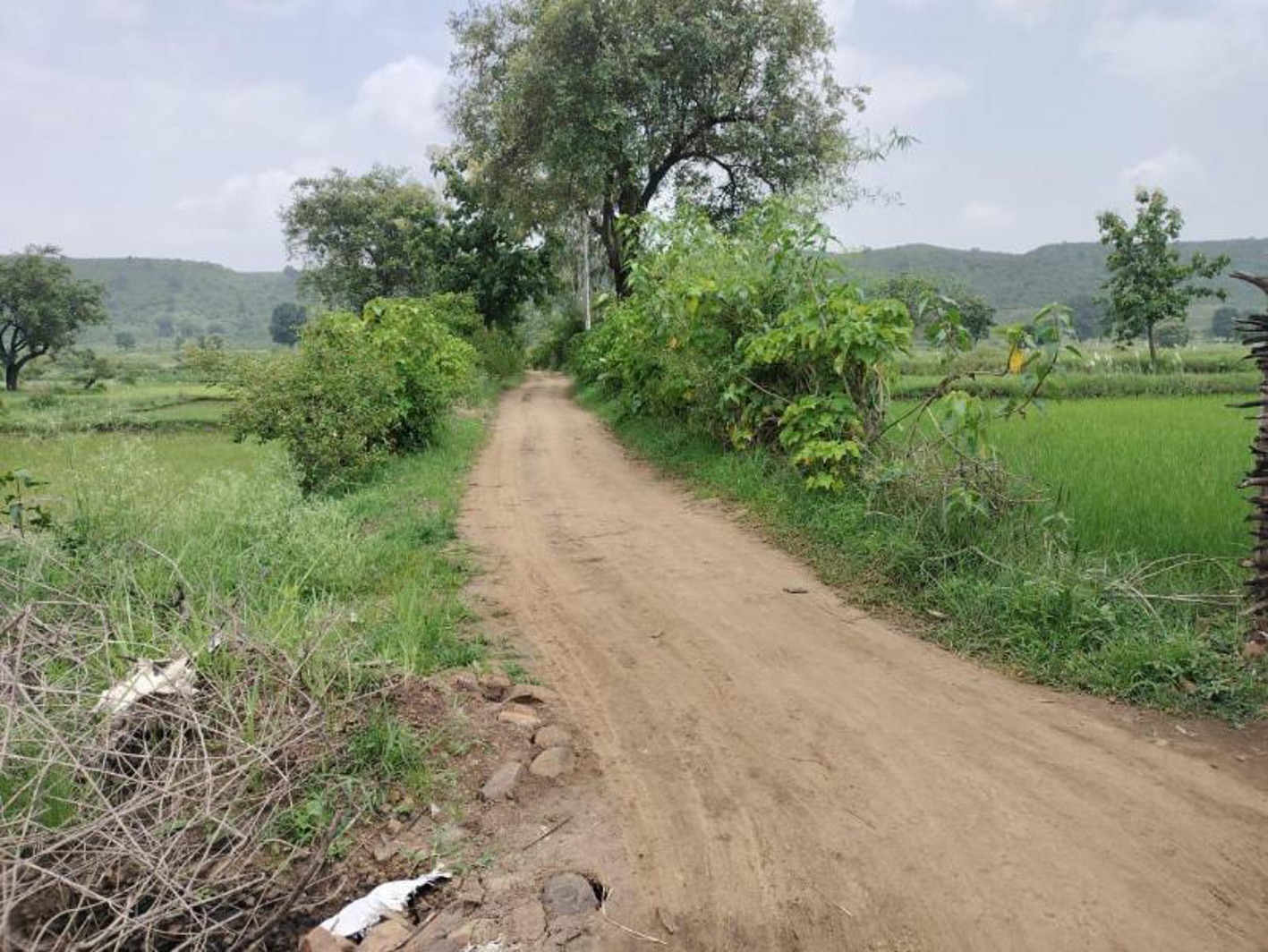 Road Not Built Even After Measurement Villagers Deprived Of Basic Fac नाप जोख के बाद भी नहीं 1770