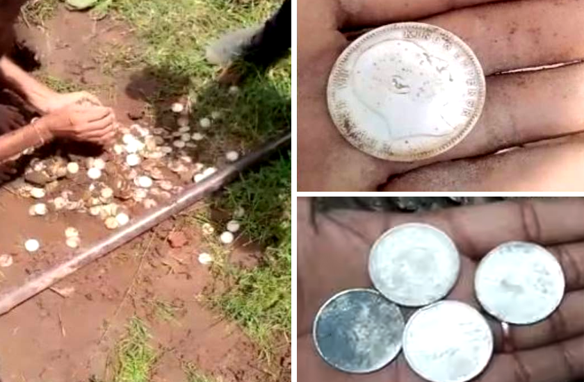 silver coin found in farm