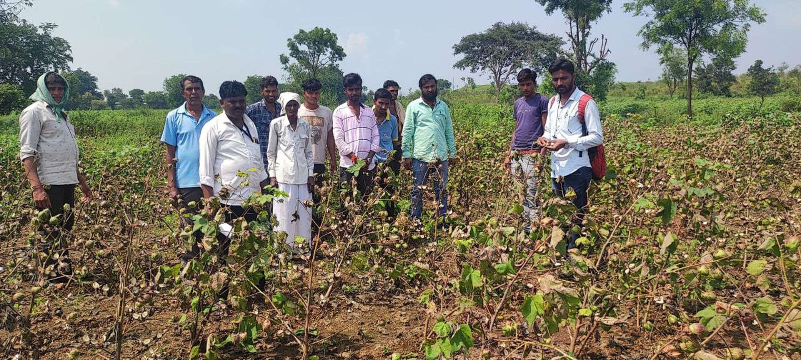 किसानों के साथ खेत पर खराब फसल देखते कृषि विभाग के अधिकारी 