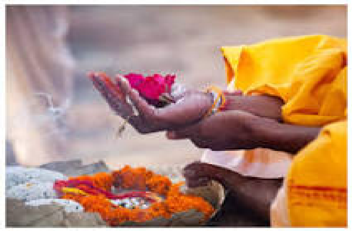 shraddha_2023.png