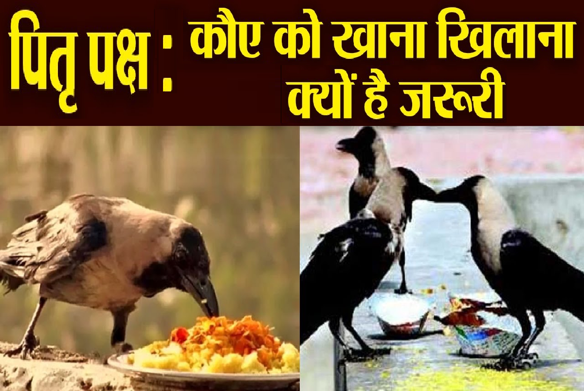 pitru_paksha_special.png