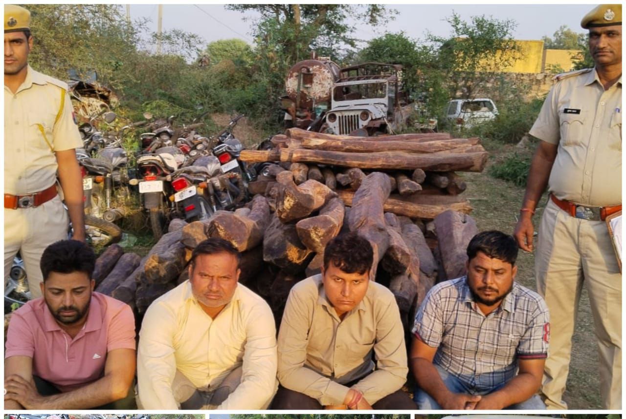 क्या है लाल सोना और ये कितना कीमती होता है, पुष्पा फिल्म इसी पर बेस्ड है | Red  Sandalwood, Laal Sona: What is red gold and how valuable is it, Pushpa's  film