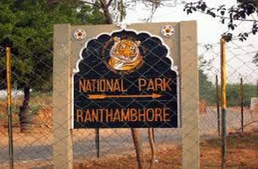 ranthambore_national_park.jpg
