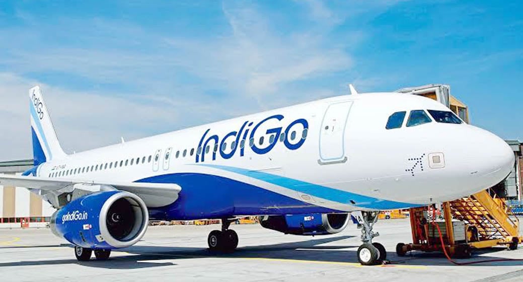 indigo_flight.jpg