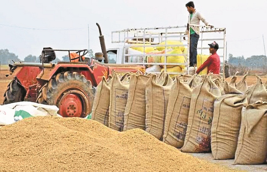 Paddy procurement slowed down, waiting for election results