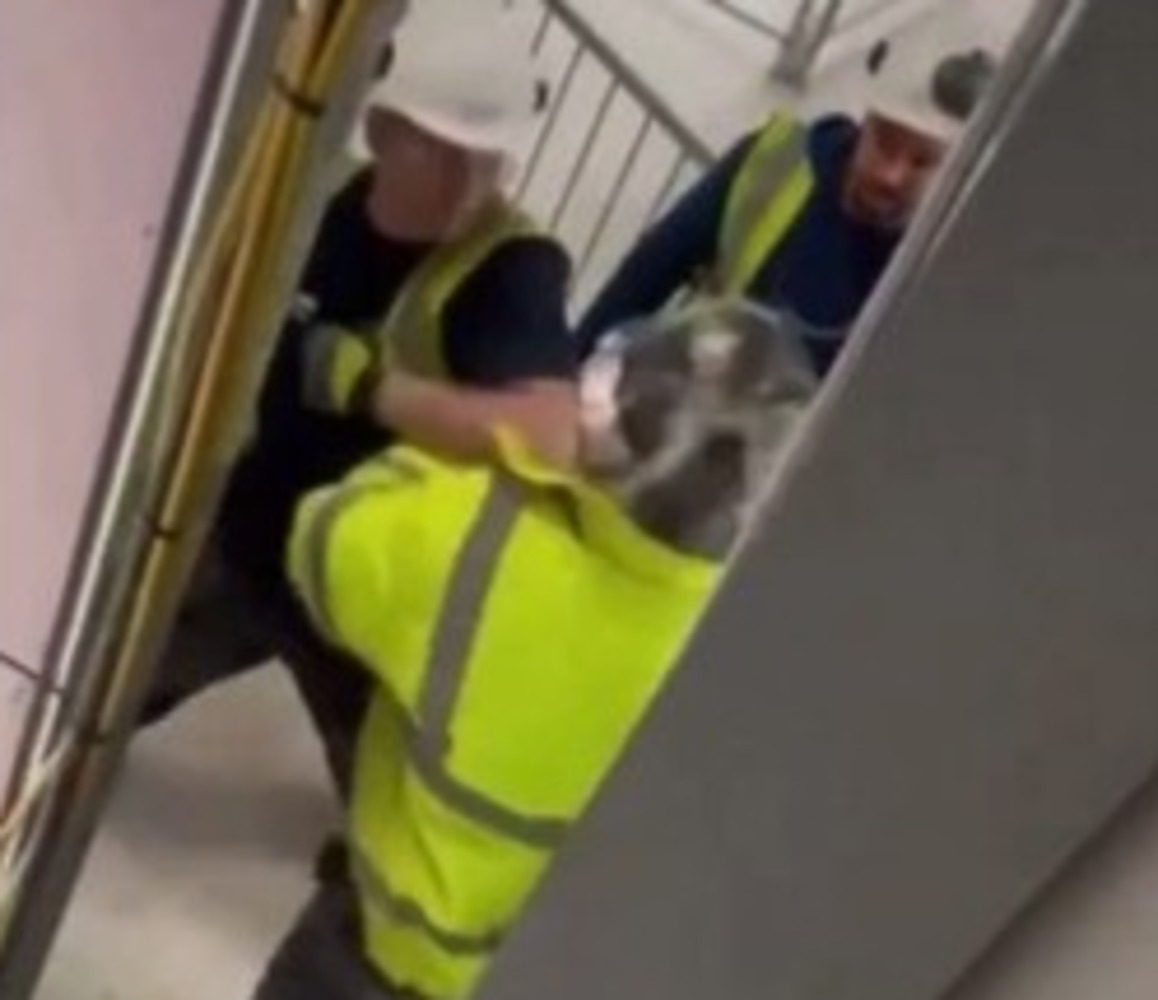 worker_knocks_out_his_manager