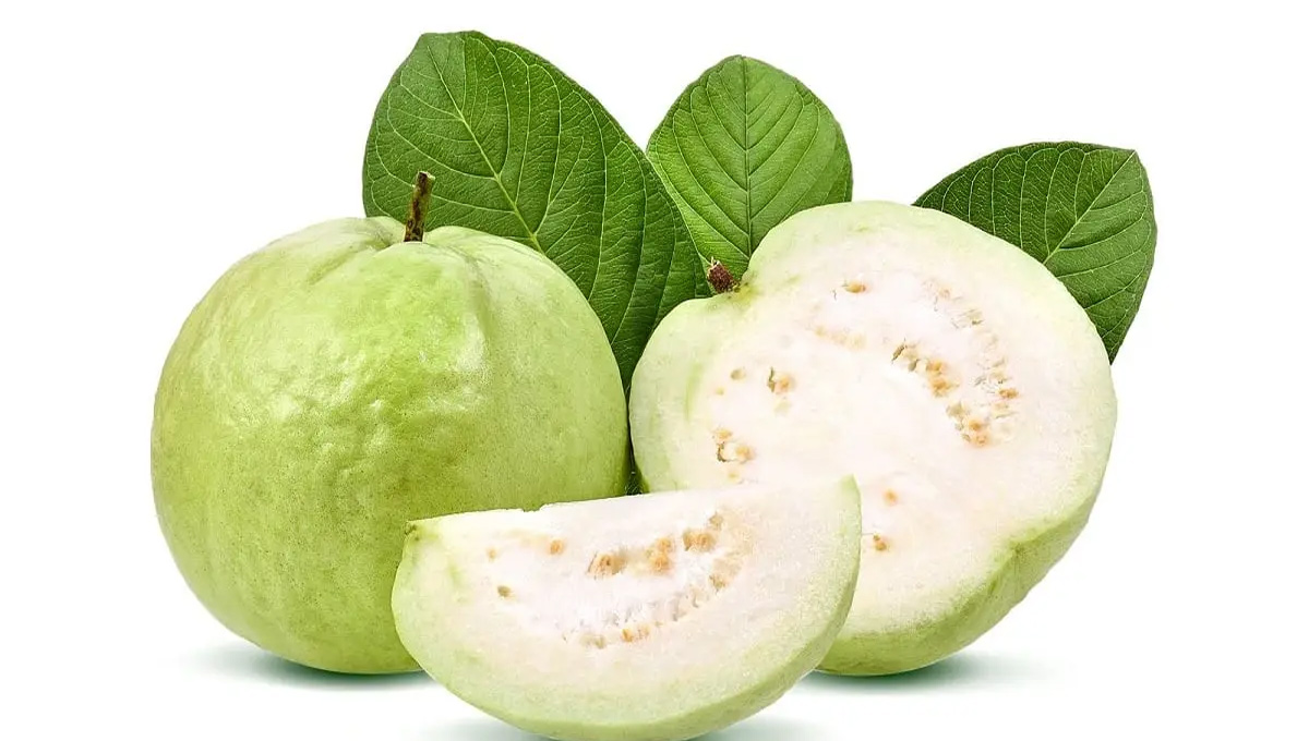 Guava Side Effects
