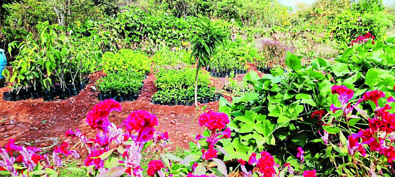 कलियासोत पहाड़ी पर 15 एकड़ में डेढ़ करोड़ रुपए से आकार ले रहा आधुनिक हर्बल गार्डन