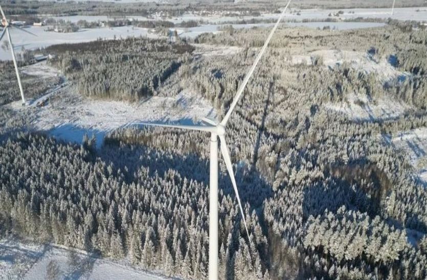 स्वीडन में शुरू हुई दुनिया की सबसे ऊंची लकड़ी की विंड टरबाइन