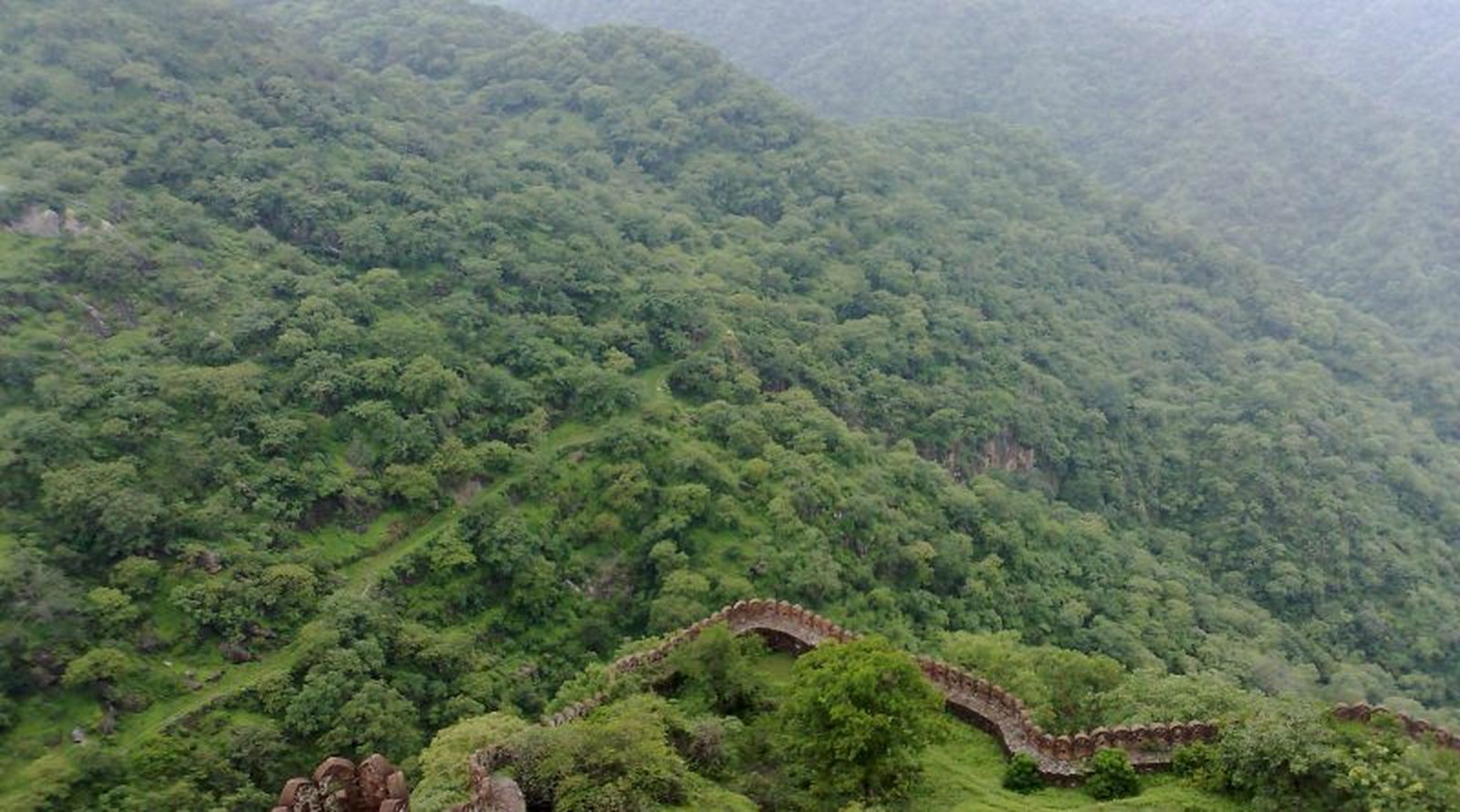 अब राजस्थान के इस शहर में बनेगा नेशनल पार्क, तैयारी जारी
