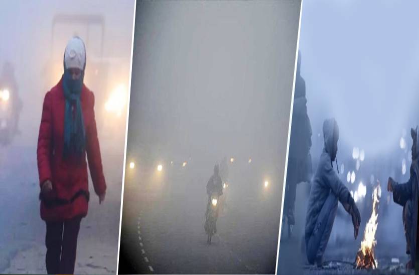 severe cold attack in rajasthan