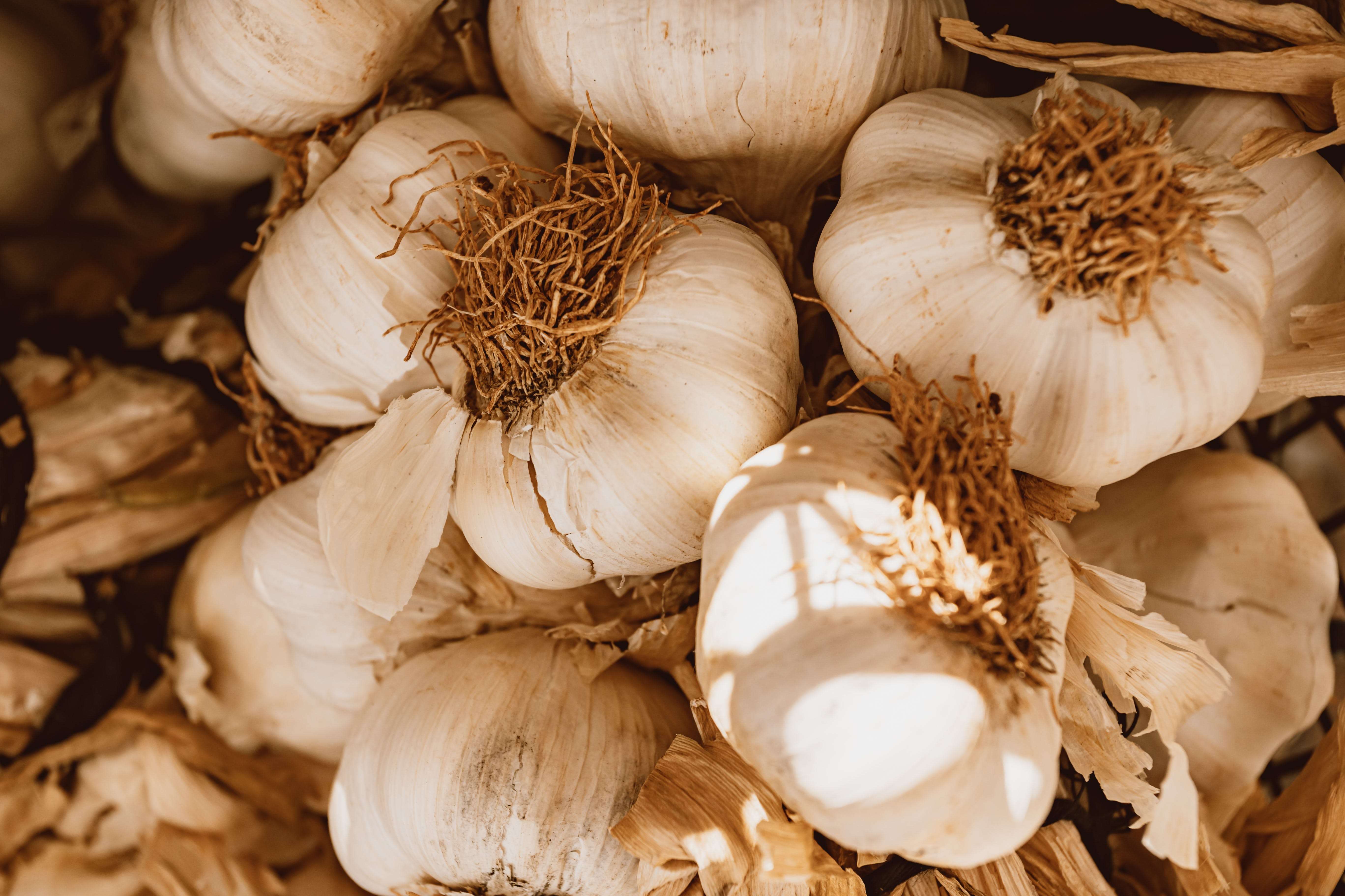 garlic cost decreased due to heavy rain 