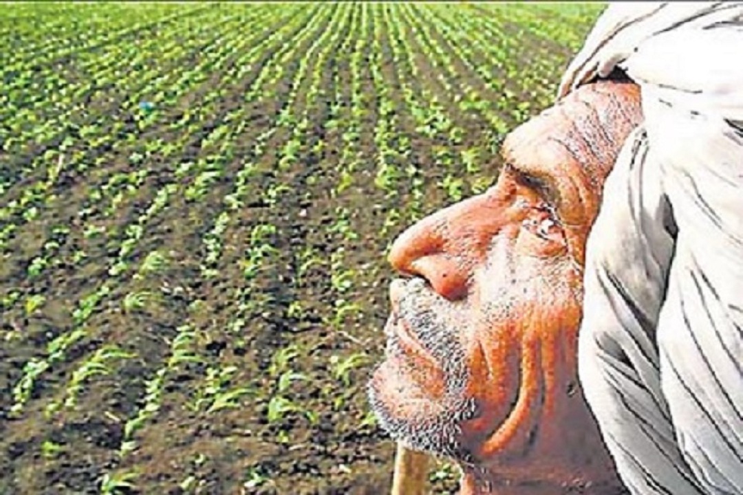 rajasthan_farmers_in_loss_weather_forecast.jpg