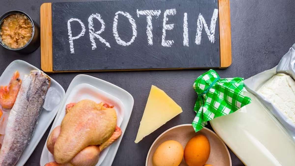 protein-diet.jpg