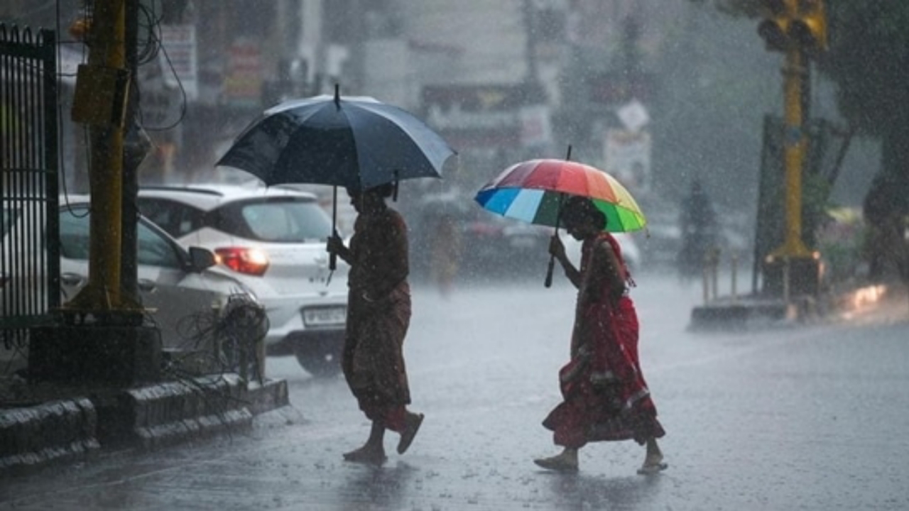 weather alert: मौसम विभाग का नया अलर्ट, 48 घंटे बाद फिर बदलेगा मौसम, इन 20 जिलों में झमाझम बारिश