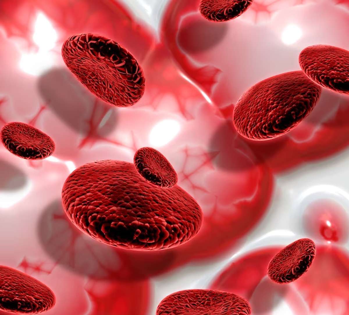 नसों को खून से लबालब भर देदे हैं ये 5 फूड्स, बिना सप्लीमेंट लिए बढ़ा सकते हैं Red Blood Cell