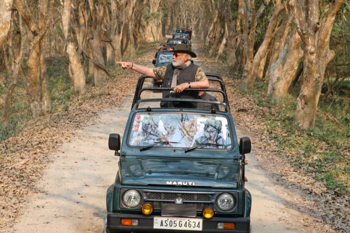 पीएम नरेंद्र मोदी ने असम के काजीरंगा राष्ट्रीय उद्यान में हाथी और जीप सफारी  का लिया आनंद | PM Narendra Modi enjoys elephant and jeep safari in Kaziranga  National Park in Assam |