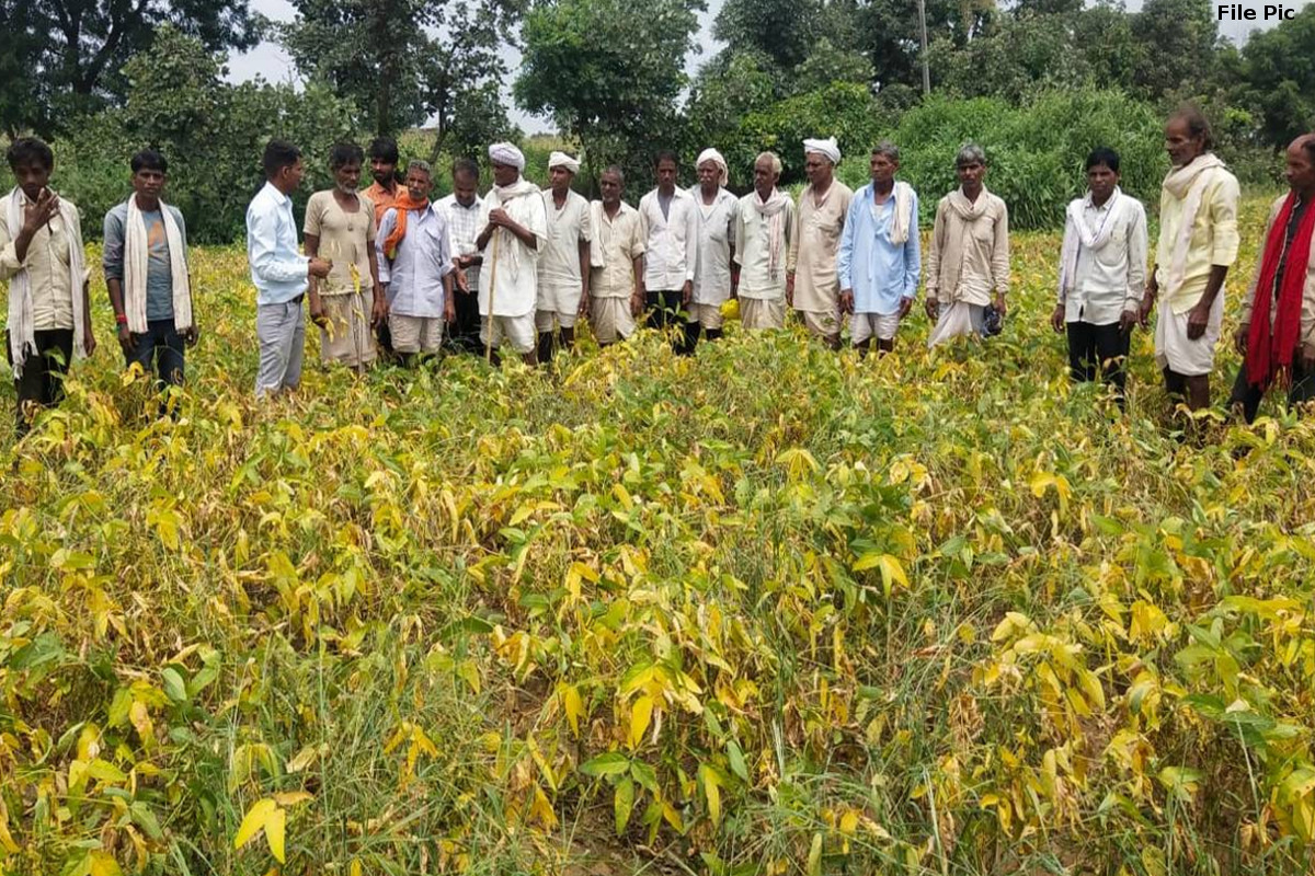 राजस्थान के किसानों को ठगने के लिए हो रही थी 'एडवांस बुकिंग', भंडाफोड़ होने पर सामने आया सच