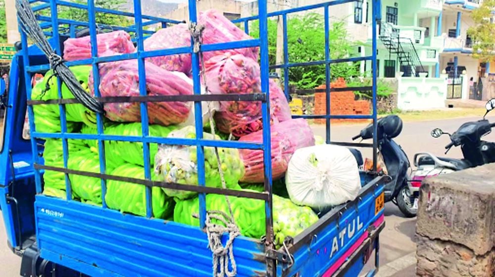 गौशाला को 7330 किलो सब्जियाें का दान