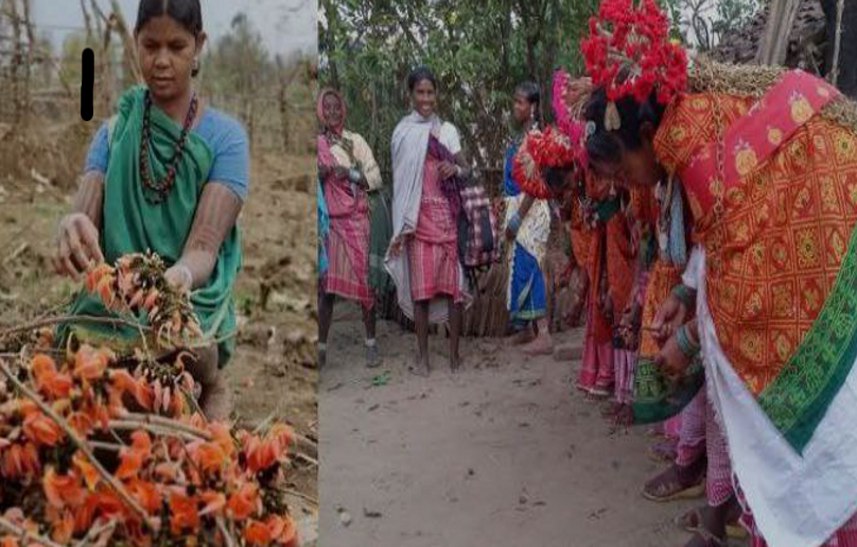 Something different: पातालकोट में अनोखी होली, महिलाएं फूल से बनाती हैं रंग, वसूलती हैं फगुआ