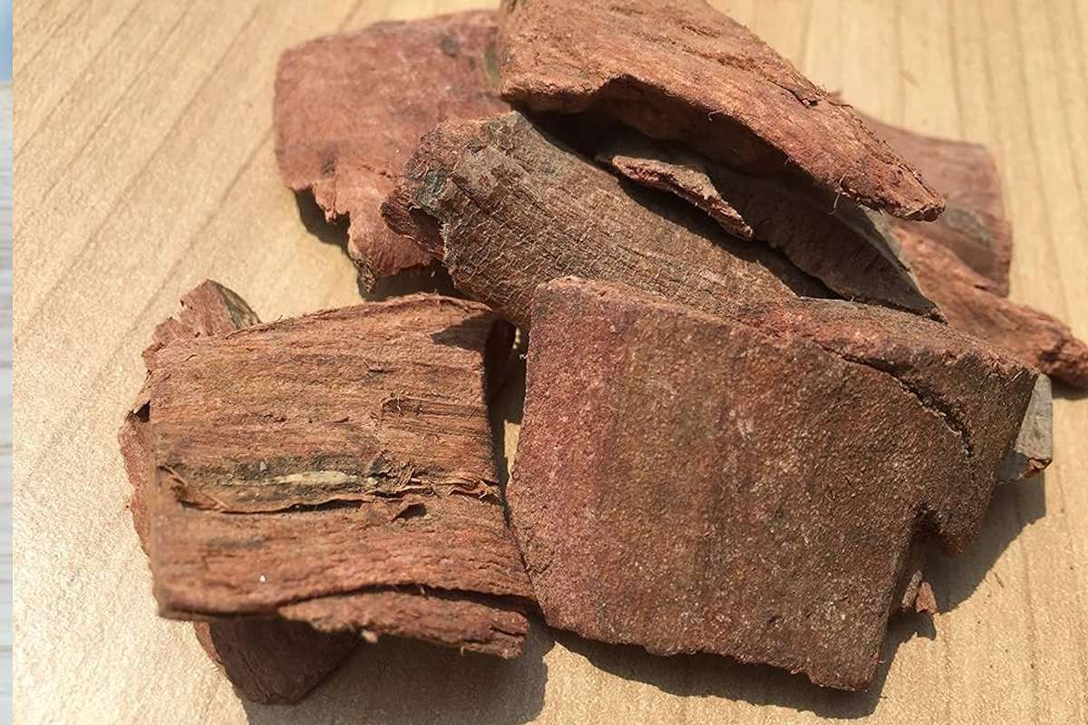 Benefits of arjuna bark: Arjuna bark is an Ayurvedic miracle, consuming ...