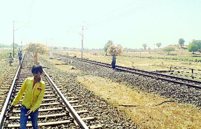 ट्रेन की
चपेट में आने से 15 गायों
की मौत