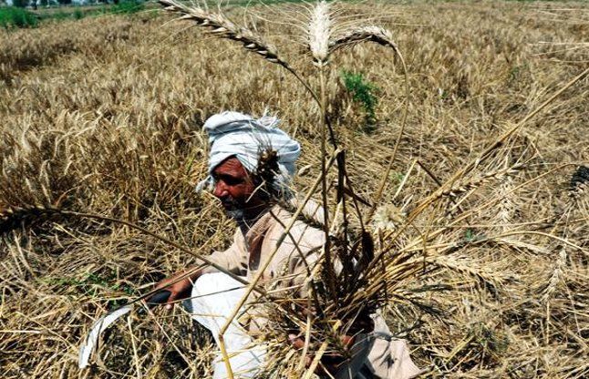 khattar मुआवजा वितरण में पारदर्शिता के लिए सीएम ने लिखा मंत्रियों को पत्र