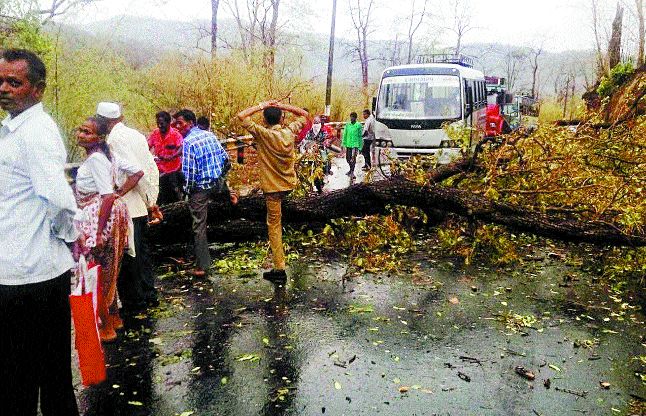 ahmedabad डांग में मेघराजा की धुंआधार एंट्री