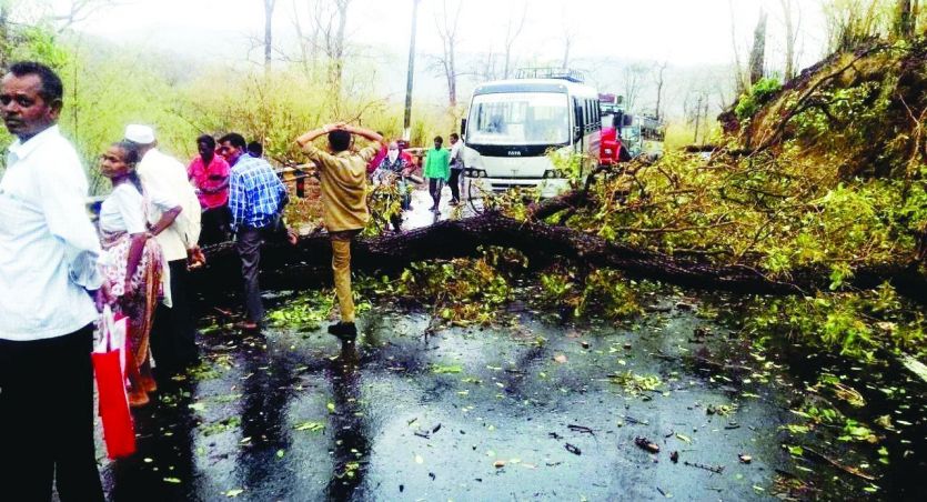 road stucks from tree in dang डांग में मानसून की दस्तक
