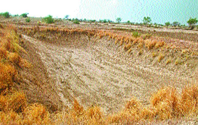 Karauli photo फार्म पॉण्ड में कम हो रही रूचि