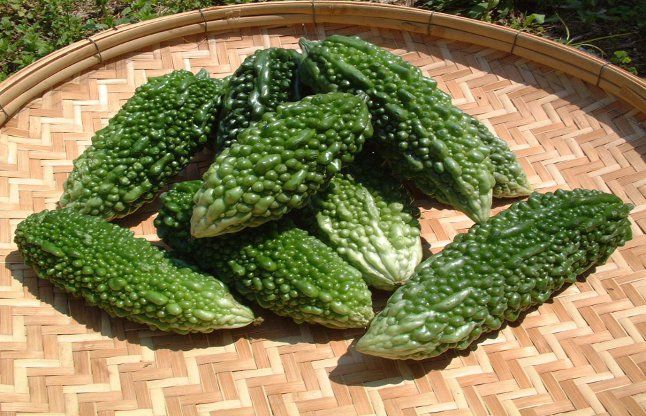 bitter melon पिंपल्स दूर करता है करेला, जानिए और फायदे