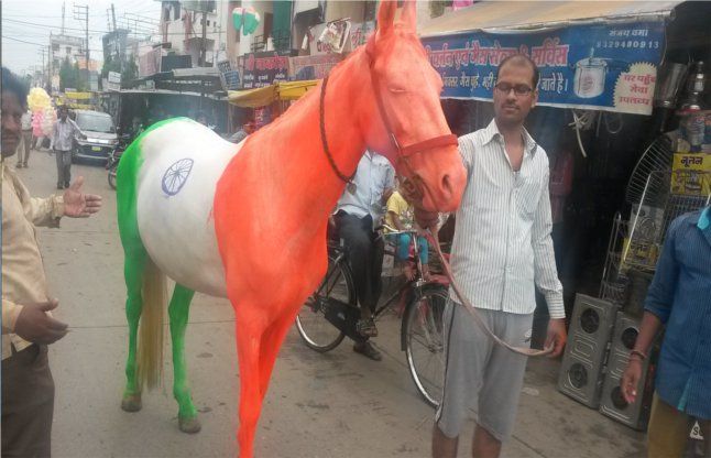 Three colored mare तीन रंगों वाली घोड़ी देख सब बोले वाह...।