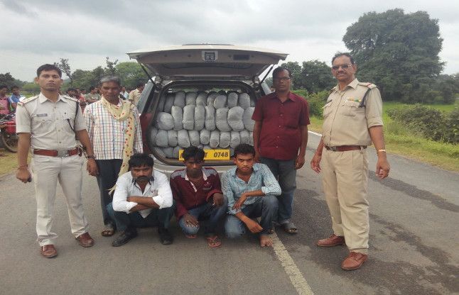 two quintals of ganja महासमुंद में क्राइम ब्रांच ने दो क्विंटल गांजा के साथ तीन तस्करों को पकड़ा