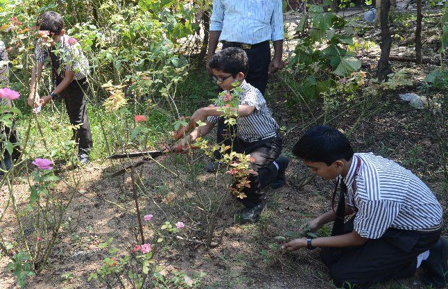 agricultural education पढ़ाई के साथ स्कूल में खेती का भी सबक