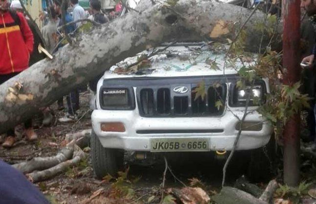 Earthquake भूकंप के बाद श्रीनगर में बंद हुई फोन लाइंस, दिल्ली मेट्रो भी
रोकी