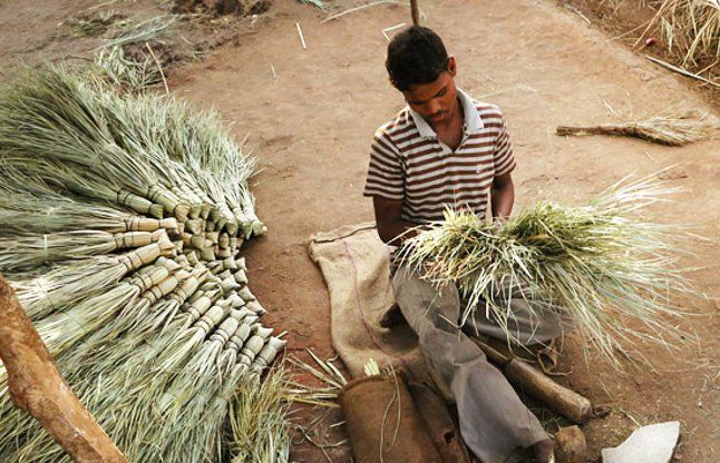 jhadu broom totke सौभाग्य के लिए शाम को न करें झाडू और तुलसी से जुड़े ये काम, हो जाएंगे बर्बाद