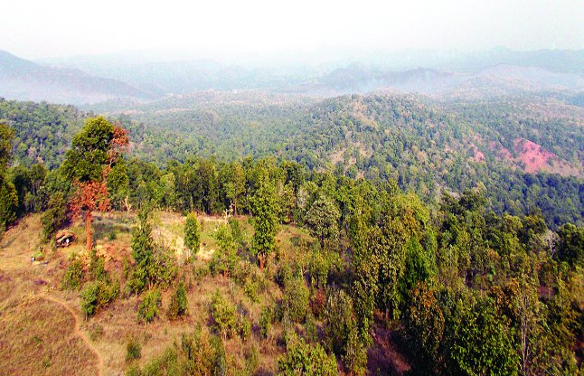 Bhoramdeo Sanctuary