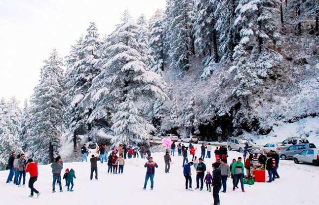 You Should Visit To Kufri In Himachal Pradesh This Season - सर्दियों का  सबसे हॉटेस्ट प्लेस है कुफरी, करें सैर | Patrika News