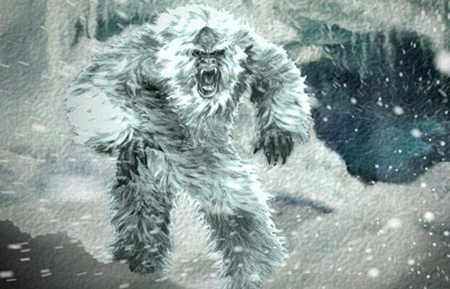 Yeti भूटान की बर्फीली पहाडिय़ों पर दिखे 'येती' के पैरों के निशान!